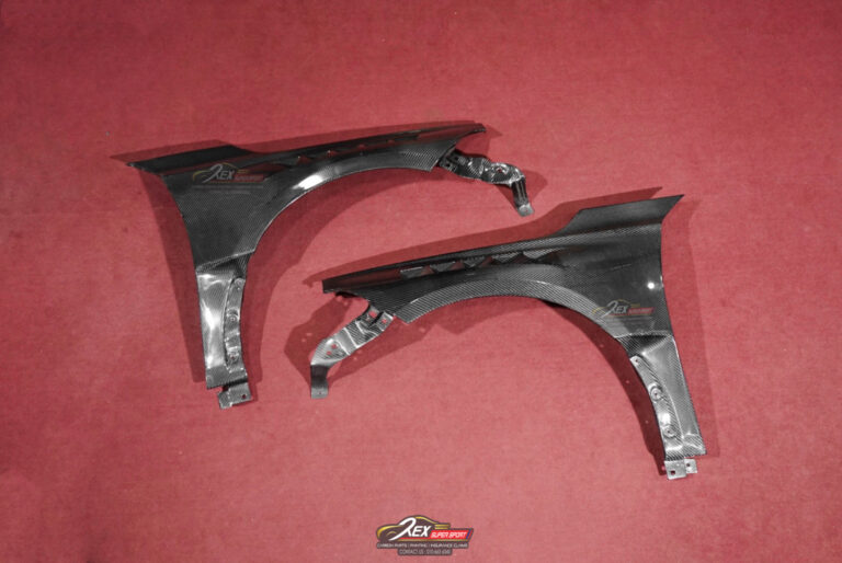 Honda FL5 Type R Fender CMST Dry Carbon